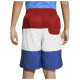Nike Παιδικό μαγιό Sportswear Colorblock Woven Shorts